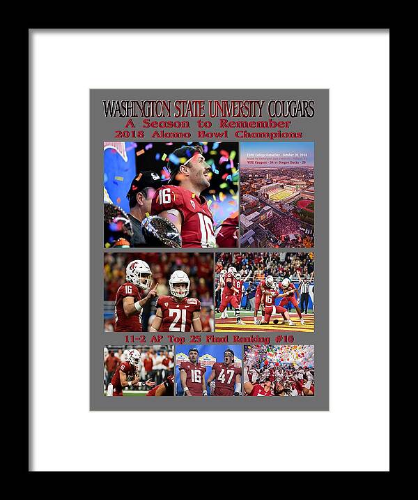 Washington State University Framed Print featuring the photograph A Season to Remember by David Patterson