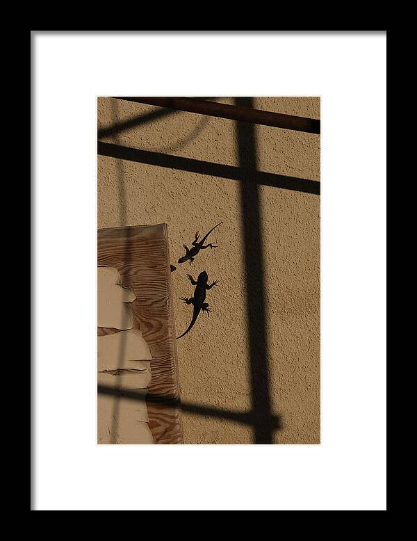 Lizards
Kern County
California
Reptiles
Winter
Shadows
Stucco
Black
Shapes
Frames
Wall
Geometry Framed Print featuring the photograph A Warm Winters Day by Sydney Harter