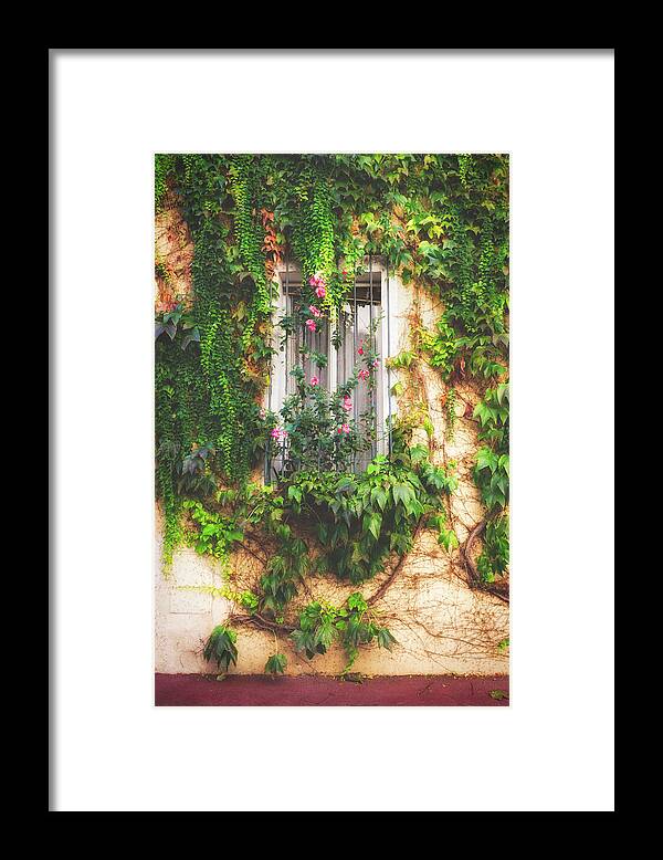 Window Framed Print featuring the photograph A Window in Le Suquet Cannes by Lauri Novak