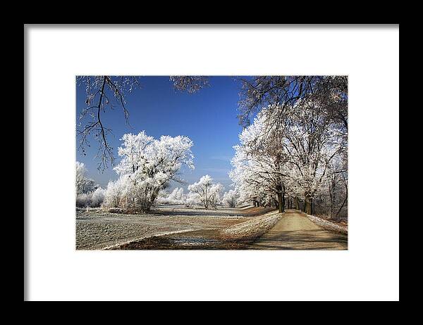 Winter Framed Print featuring the photograph About Noon by Jacek Stefan