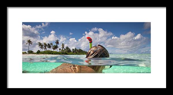 People Framed Print featuring the photograph Above & Below View by Stuart Westmorland