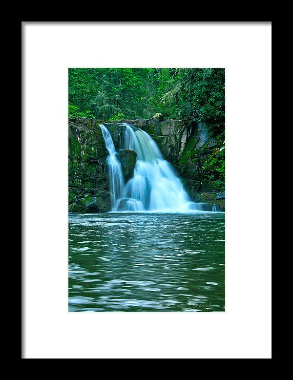 Art Prints Framed Print featuring the photograph Abrams Falls by Nunweiler Photography