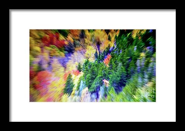 Abstract Framed Print featuring the photograph Abstract Forest Photography 5501f1 by Ricardos Creations