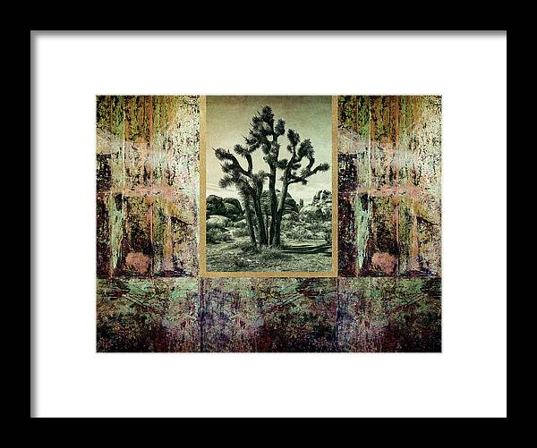 Abstract Framed Print featuring the photograph Abstract with a Joshua Tree by Sandra Selle Rodriguez