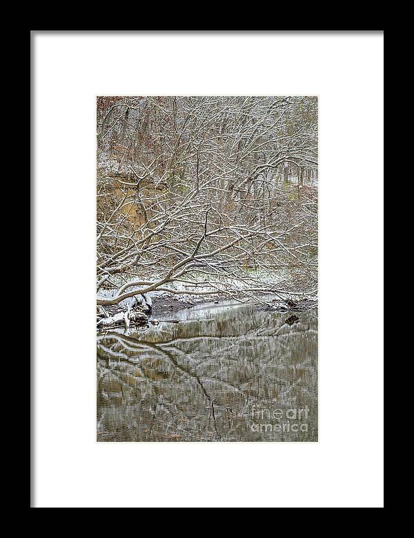 Trees Framed Print featuring the photograph Abstract Snow Covered Trees by Tamara Becker