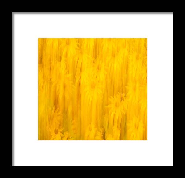Sunflowers Framed Print featuring the photograph Abstract Sunflowers 2018-3 by Thomas Young