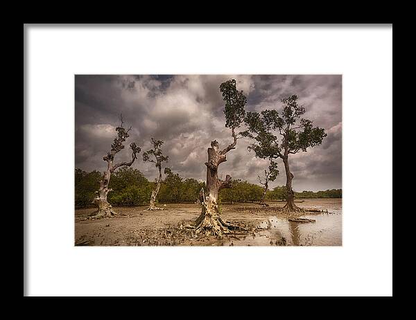 Landscape Framed Print featuring the photograph Abstract Trees by orsteinn H. Ingibergsson