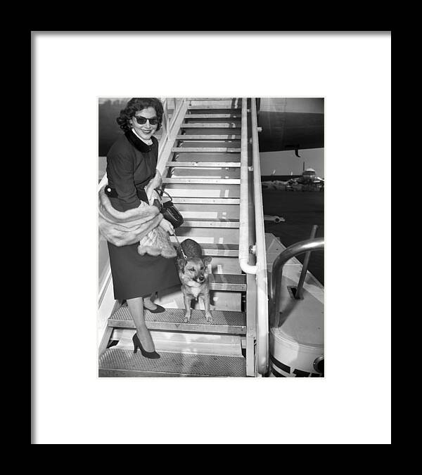 1950-1959 Framed Print featuring the photograph Actress Ava Gardner And Her Dog, Rags by New York Daily News Archive