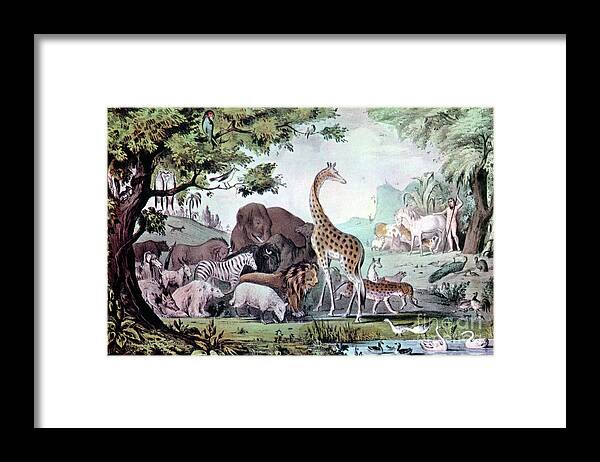 People Framed Print featuring the drawing Adam Naming The Creatures, 1847.artist by Print Collector