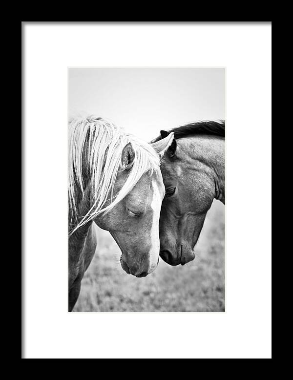 Blackandwhite Framed Print featuring the photograph Affectionate Quarter Horses In Black by Ken Gillespie Photography
