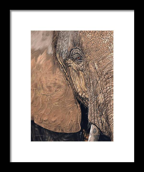 Elephant Framed Print featuring the painting African Elephant by Rachel Stribbling