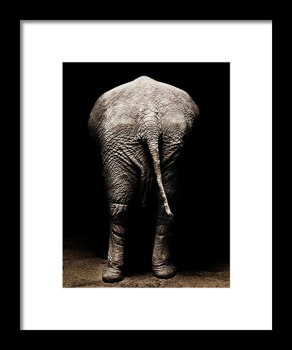Animal Skin Framed Print featuring the photograph African Elephant - Rear View by Henrik Sorensen