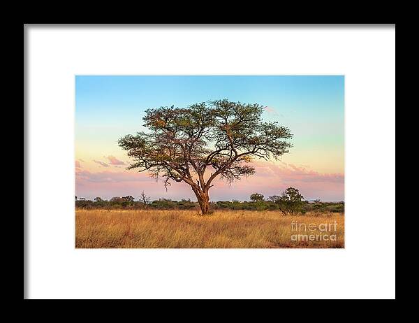 Serengeti Framed Print featuring the photograph African Savannah wallpaper by Benny Marty