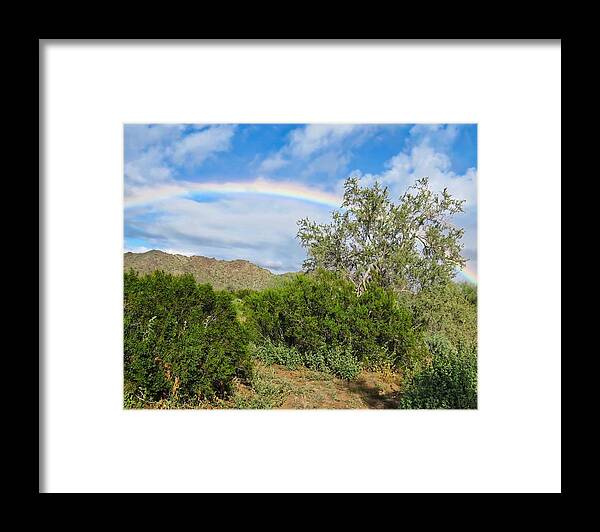 Arizona Framed Print featuring the photograph After an Arizona Winter Rain by Judy Kennedy