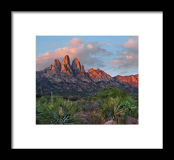 00557650 Framed Print featuring the photograph Organ Moutains, Aguirre Spring by Tim Fitzharris