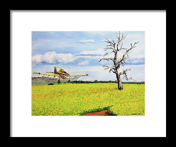 Aircraft Framed Print featuring the painting Air Tractor Spraying Canola Fields by Karl Wagner