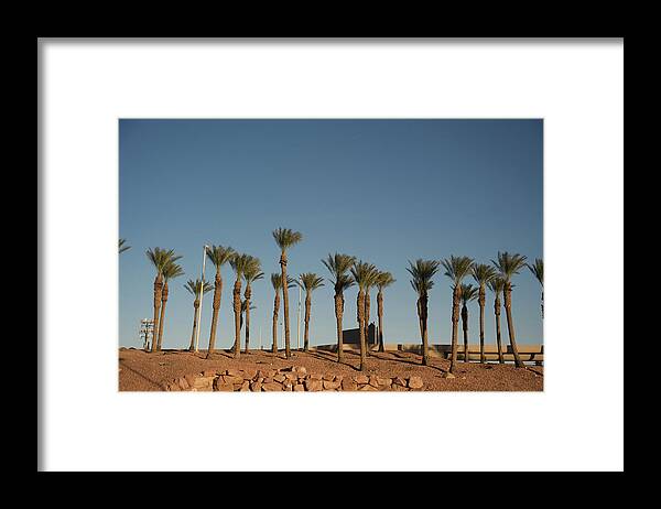 Tranquility Framed Print featuring the photograph Airport Palms by Aaron Mccoy