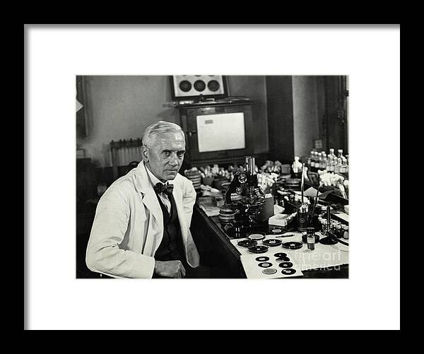 Working Framed Print featuring the photograph Alexander Fleming Working In Laboratory by Bettmann
