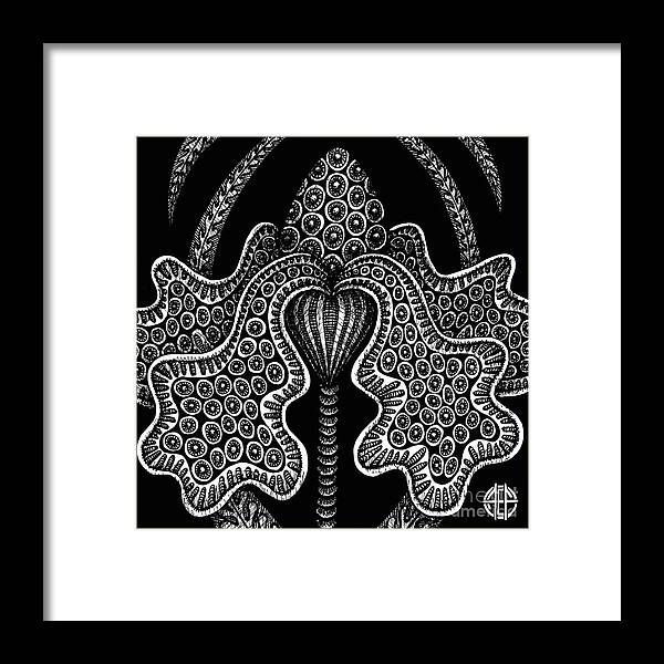 Boho Framed Print featuring the drawing Alien Bloom 23 Black and White by Amy E Fraser