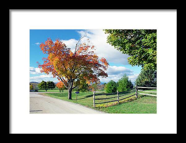 Foliage Framed Print featuring the photograph All Souls by Rik Carlson