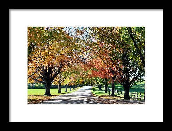 All Framed Print featuring the photograph All Souls_2 by Rik Carlson