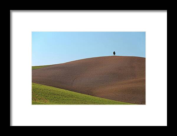 Grass Framed Print featuring the photograph Alone by Photographer Renzi Tommaso Tommyre00@hotmail.it