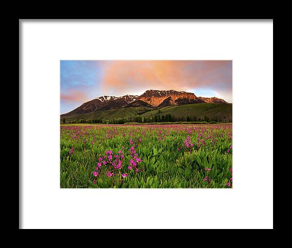 Idaho Scenic Framed Print featuring the photograph Alpine Shooting Stars by Leland D Howard