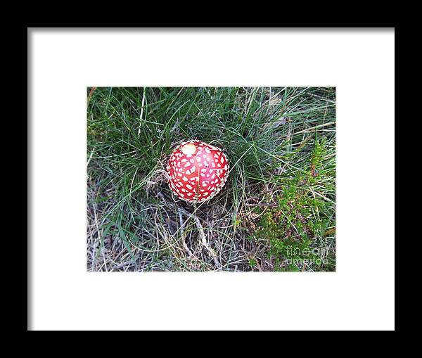 France Framed Print featuring the photograph Amanita muscaria by Chani Demuijlder