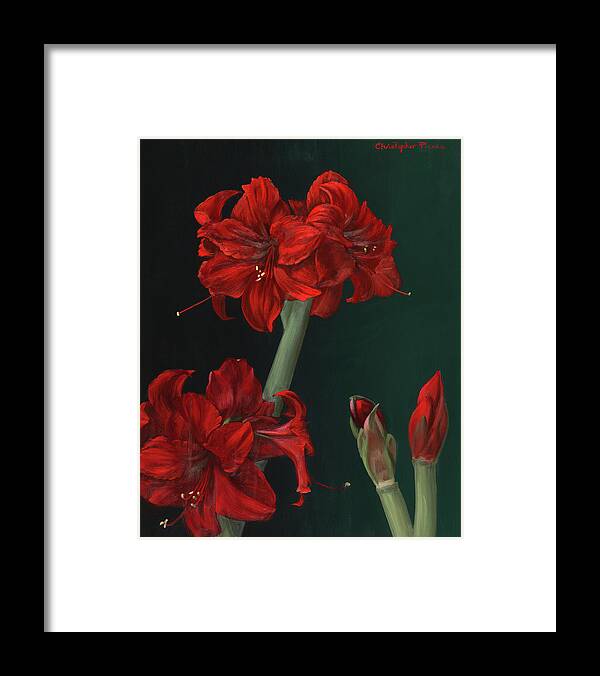 Flowers Framed Print featuring the painting Amaryllis Amigo by Christopher Pierce