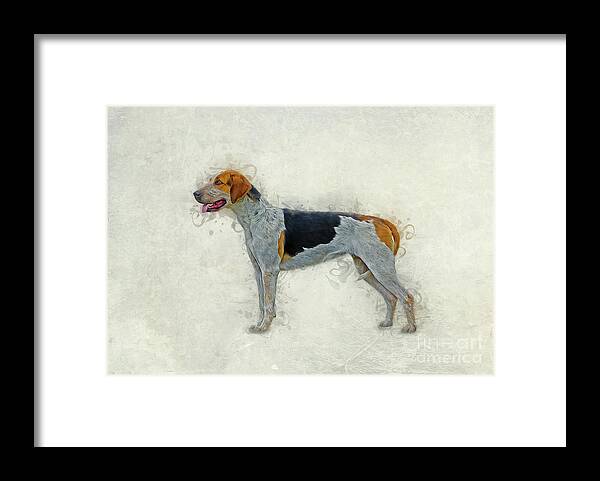 Dog Framed Print featuring the digital art American Foxhound by Ian Mitchell
