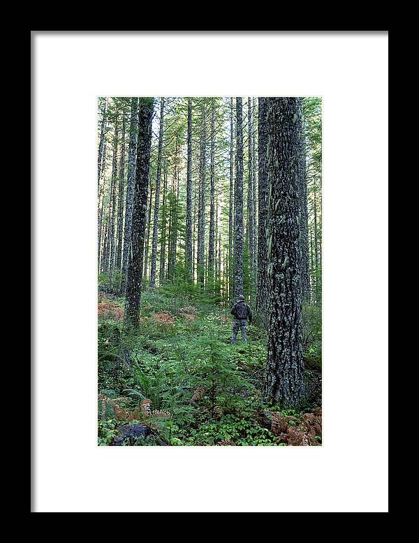 People Framed Print featuring the photograph Among the Trees by Steven Clark
