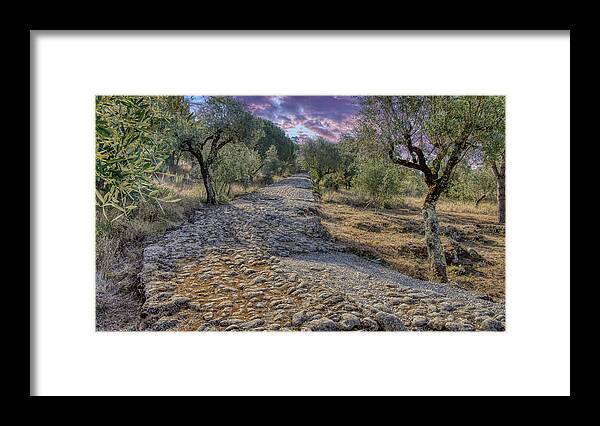 Estrada Romana Framed Print featuring the photograph Ancient Roman Road by Micah Offman
