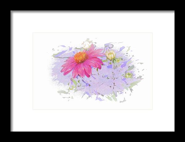 Flower Framed Print featuring the photograph And Fuchsia Is My Name Too by Diane Lindon Coy
