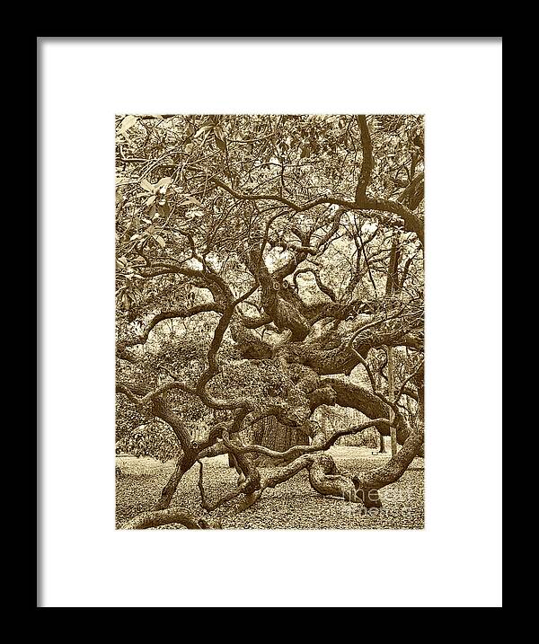 Angel Oak Framed Print featuring the photograph Angel Oak Drama in Vintage Sepia by Carol Groenen