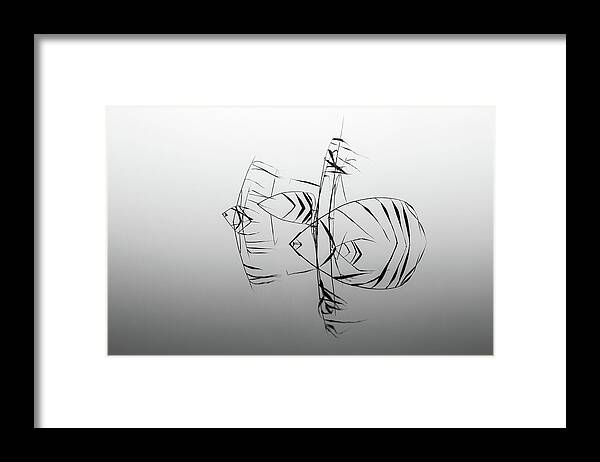 Reflections Framed Print featuring the photograph Angelfishes by Siv Wester