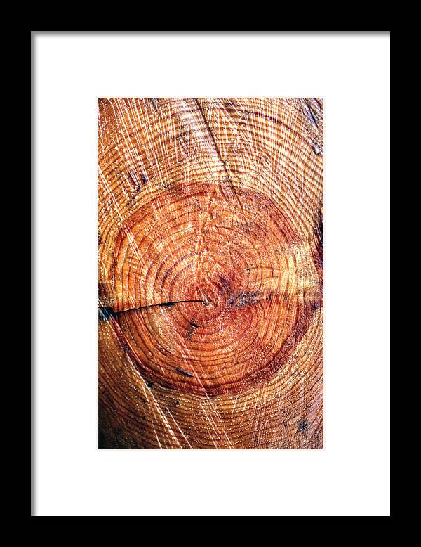 Built Structure Framed Print featuring the photograph Annual Rings by John Foxx