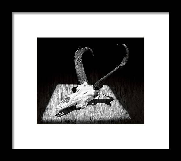 Kansas Framed Print featuring the photograph Antelope 003 by Rob Graham