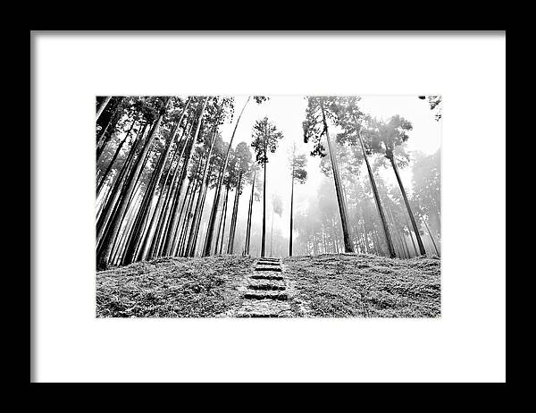 Tranquility Framed Print featuring the photograph Anyone Can Shoot Chaos. But The Most by Beyondmylens@harsh / Photography