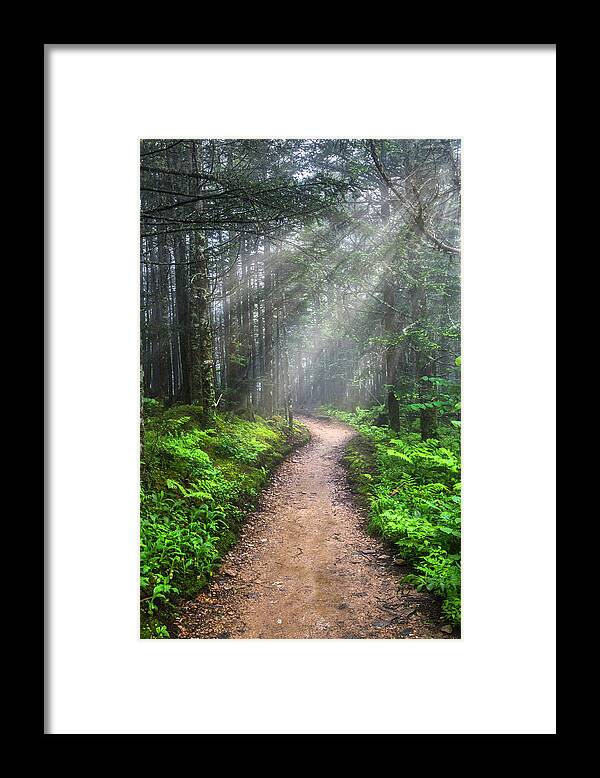 Appalachia Framed Print featuring the photograph Appalachian Trail by Mount LeConte by Debra and Dave Vanderlaan
