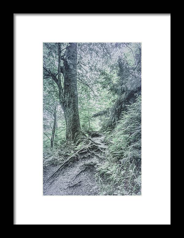 Appalachia Framed Print featuring the photograph Appalachian Trail in Cool Gray Tones by Debra and Dave Vanderlaan