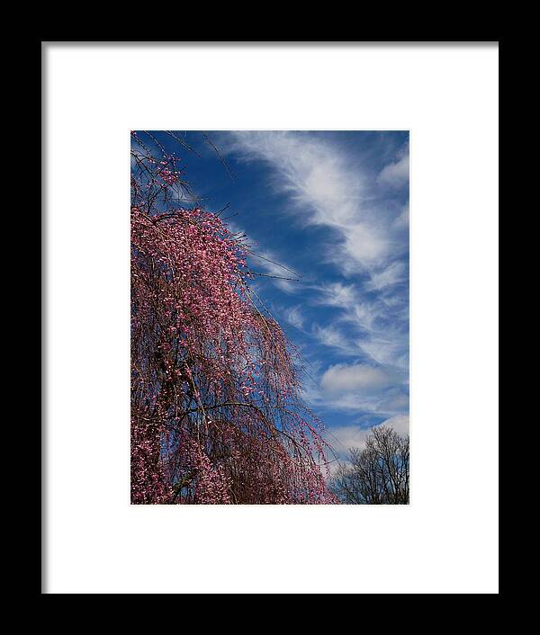 April Sky Framed Print featuring the photograph April Sky Deep Hues by Mike McBrayer