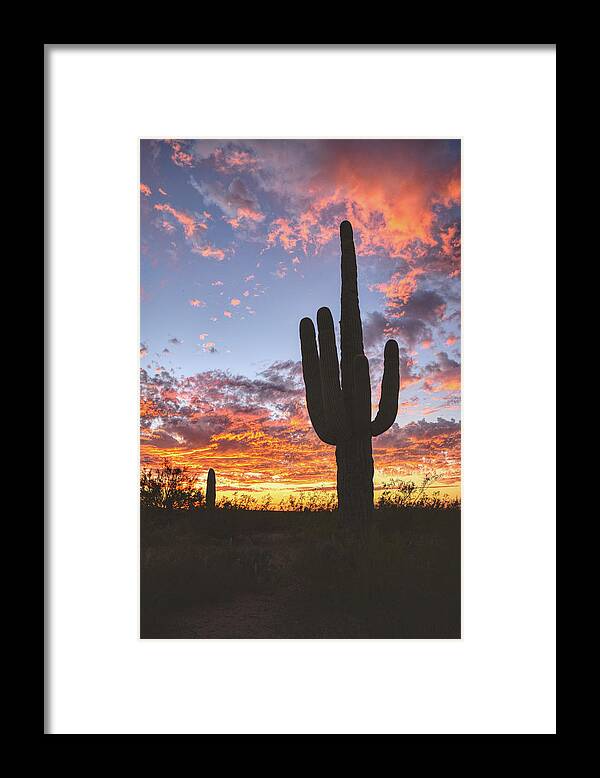 Saguaro Cactus Framed Print featuring the photograph Arizona skies by Chance Kafka