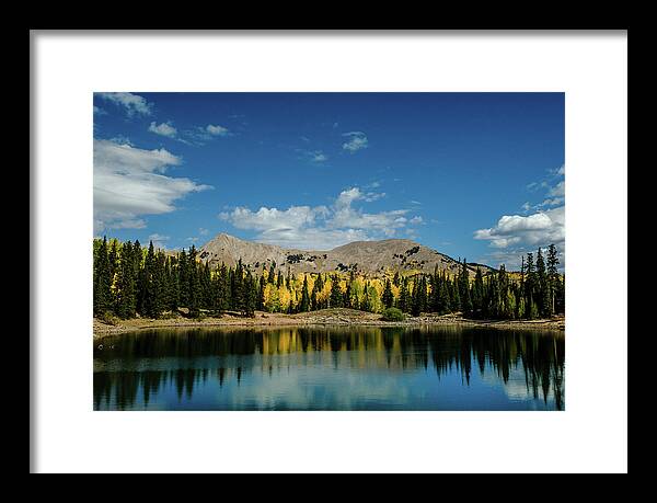 Aspens Framed Print featuring the photograph Aspens of Dark Canyon Lake by Johnny Boyd