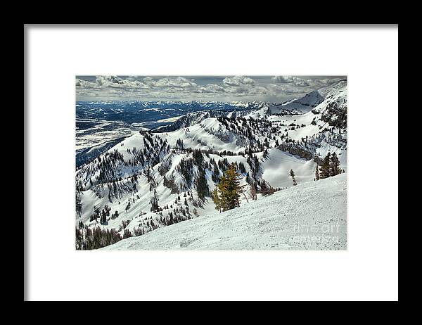 Rendezvous Bowl Framed Print featuring the photograph At The Jackson Hole Treeline by Adam Jewell