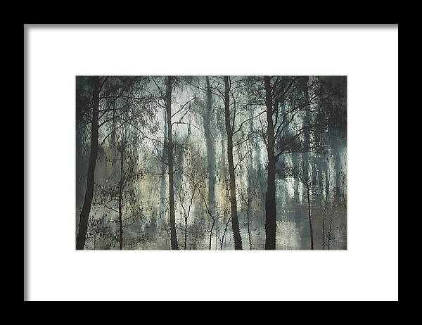 Lake Framed Print featuring the photograph At The Lake by Nel Talen