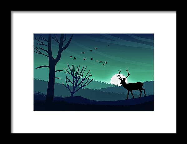 Aurora Framed Print featuring the photograph Aurora Borealis Sky and Wildlife by Andrea Kollo
