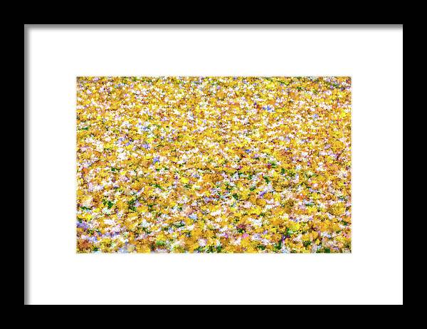 David Letts Framed Print featuring the photograph Autumn Abstract by David Letts