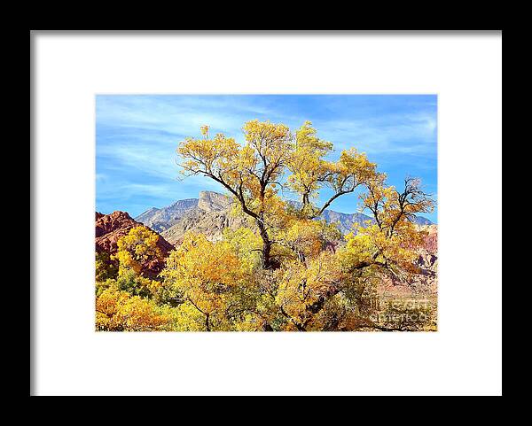 Trees Framed Print featuring the photograph Autumn at Red Rock by Beth Myer Photography
