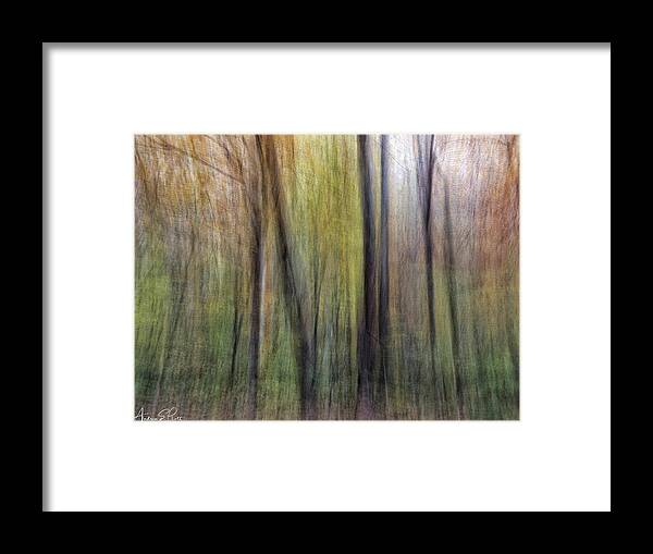 Fall Framed Print featuring the photograph Autumn Blur by Andrea Platt