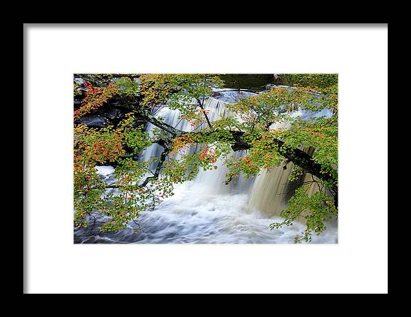 Petit Jean Mountain Framed Print featuring the photograph Autumn Branch by James Barber